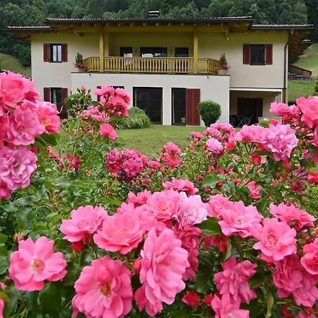 Schwarzhans Apartment