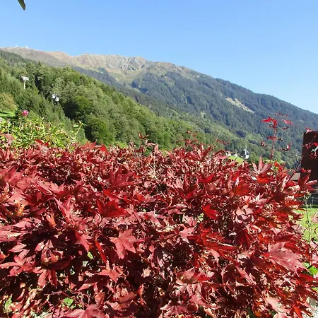 Schwarzhans Apartament *