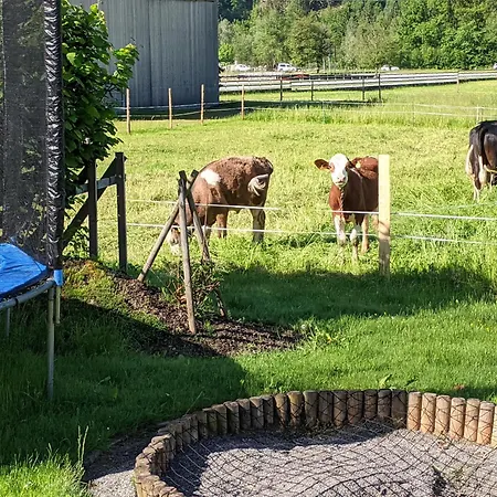 Apartament Schwarzhans Schruns